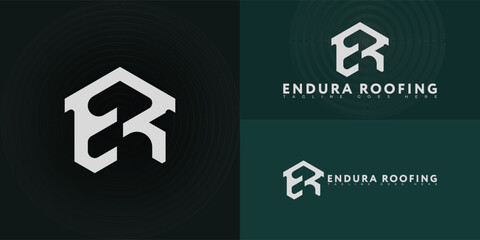 Abstract hexagon initial letter ER or RE in silver-white color isolated on multiple background colors. The logo is suitable for roofing company logo design inspiration templates.