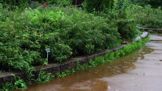 A light rain falls, creating puddles of water in an empty park.촉촉히 비가 내리고 아무도 없는 공원에 물웅덩이에  물방울을 만듭니다.