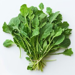 A bunch of fresh herbs on a white background for cooking.