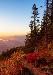 Canadian Landscape with Fall Colors during sunny sunset. Elk Mountain, Chilliwack, East of Vancouver, British Columbia, Canada. Nature Background.