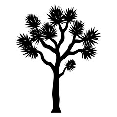 Joshua tree vector art illustration