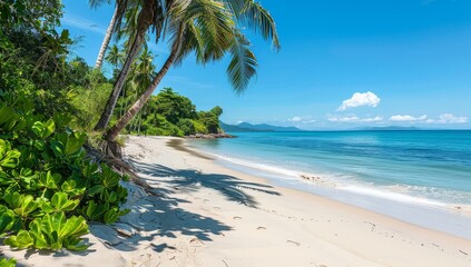 Lush Greenery Overlooking a Pristine Tropical Beach