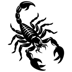 Scorpion isolated on a white background