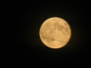 Fototapeta premium Full moon