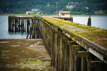 Juneau wharf and dock area