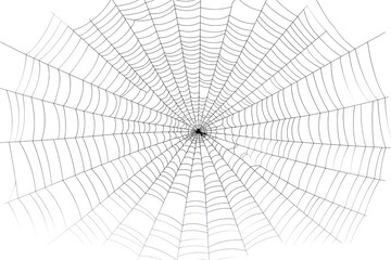 Obraz premium Spider web backgrounds concentric complexity.