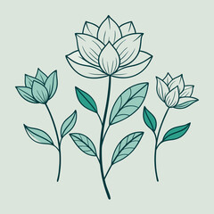 Beauty flowers nature vector line art illustration