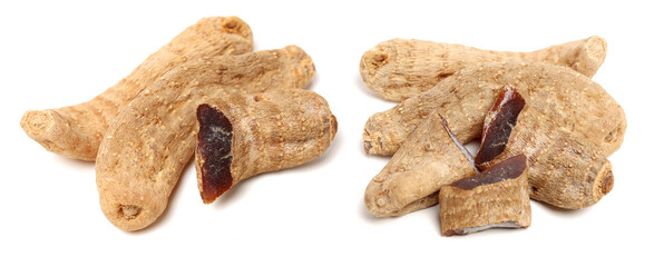 Gastrodia elata on white background