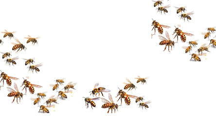 Honey and bee insect macro shot. A bee collecting pollen. Honey bee walking isolated on transparent background cutout.Honey and bee insect macro shot. A bee collecting pollen generative Ai.