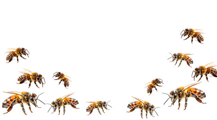 Honey and bee insect macro shot. A bee collecting pollen. Honey bee walking isolated on transparent background cutout.Honey and bee insect macro shot. A bee collecting pollen generative Ai.