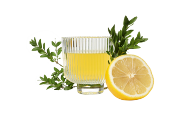 PNG, Half of lemon, branches and glass with limoncello, isolated on white background