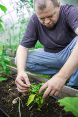 Fototapeta premium A man is tending to a plant in a greenhouse