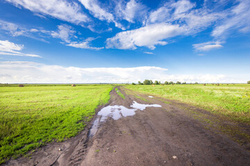 A wet dirt road stretches through lush green fields under a vast sky filled with fluffy clouds, merging nature’s beauty with a tranquil rural atmosphere.