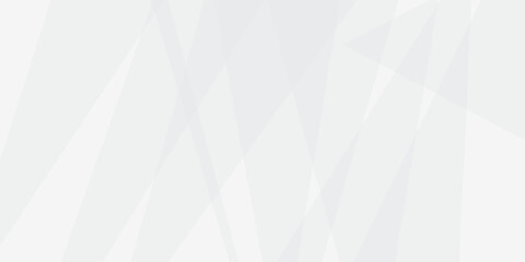 Abstract white and gray line background design. abstract white and grey on light silver background modern design. Low poly vector illustration. triangle pattern gradient background.	