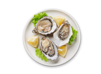 Fresh oysters with lemon on plate
