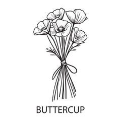 Buttercup flower Outline Design, Floral Clipart, Wildflower illustration in black and white
