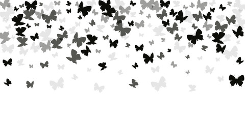 butterflies-long18_04-07.eps
