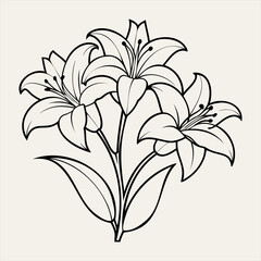 Lily Line Art Vector Floral Illustration