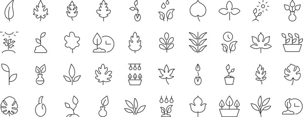 Signs of leaves, gardening, nature for Shops and Stores. Suitable for books, stores, shops. Editable stroke in minimalistic outline style. Symbol for design