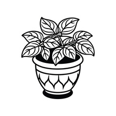Basil Pot Silhouette Vector With White Background