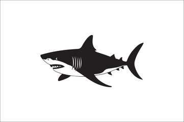 shark silhouette vector illustration. Different kind of sharks.