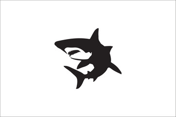 shark silhouette vector illustration. Different kind of sharks.