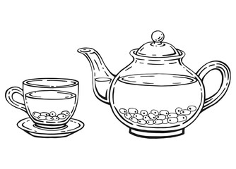 Tea set with glass teapot and cup, sea buckthorn. Hand drawn vector illustration in outline style.