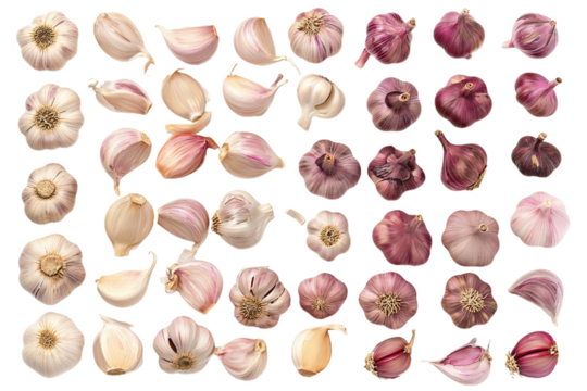 Fresh Peeled Garlic Bulb and Cloves with Cilantro Fresh Garlic Cloves isolated on White Background transparent PNG