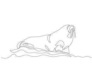 Continuous one line drawing of ocean walrus. One line drawing illustration of ocean seal. Marine mammal animal concept continuous line art. Editable outline.