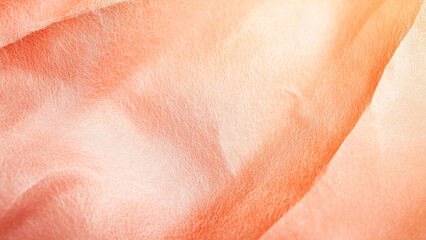 Fototapeta premium Digital Business Card Tiles on a Website Banner Background