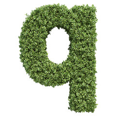 Realistic plant leaves bush alphabet letter q isolated on transparent background, lowercase. It is part of a set which also includes capital or uppercase letters, numbers and shapes.