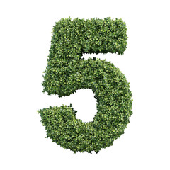 Realistic plant leaves bush alphabet number 5 five isolated on transparent background. It is part of a set which also includes letters and shapes.
