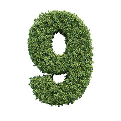 Realistic plant leaves bush alphabet number 9 nine isolated on transparent background. It is part of a set which also includes letters and shapes.