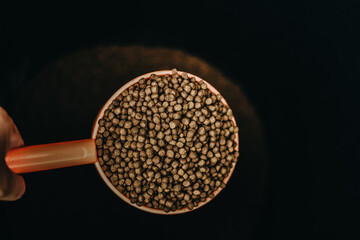 Dry food for animals. Animal food close-up top view. Granulated food for fish or dog. Copy Space background