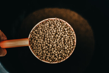 Dry food for animals. Animal food close-up top view. Granulated food for fish or dog. Copy Space background