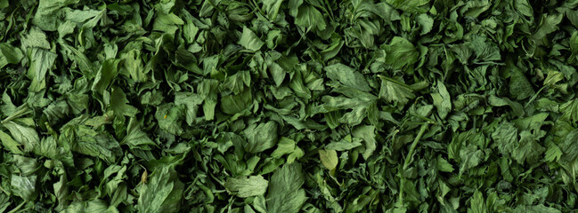 Obraz premium Dry parsley spice background. Homegrown herbs and spices for cooking backdrop. Fresh dried aromatic natural food ingredients. Copy space 