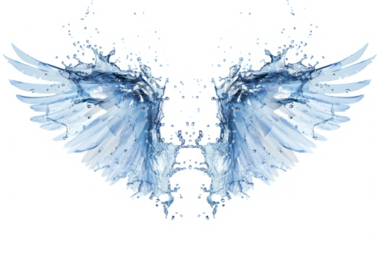 Symmetrical water splash looking like wings, isolated on white.