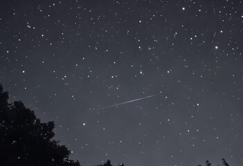 night sky with stars