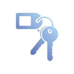 Room Key vector icon