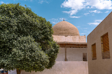 A tree is next to a building with a dome on top