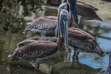 Why Are You Watching Me!