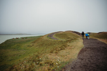 Fototapeta premium Family hiking in Myvatn, Iceland with ocean and icelandic horses