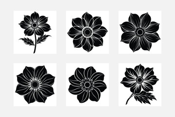 Fototapeta premium black and white flower