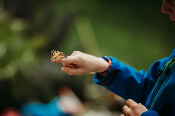 Boy with a butterfly on his hand, wearing a blue jacket outdoors