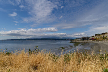 A scenic coastal view of Port Townsend with grassy foreground
