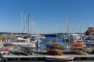 A busy marina in Port Townsend with boats, kayaks, and yachts