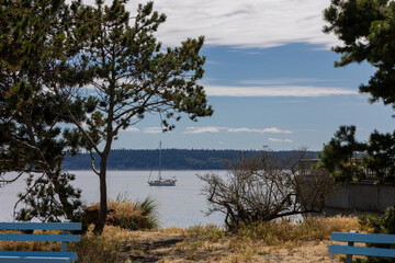 A sailboat on calm water viewed through trees and a grassy area