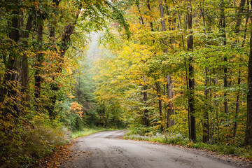 Obraz premium Autumn trees frame a dirt road in the countryside