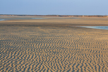 Brewster Flats tidal pools at low tide, Cape Cod