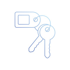 Room Key vector icon